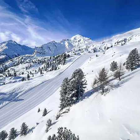 Valaisia 34a Διαμέρισμα Nendaz